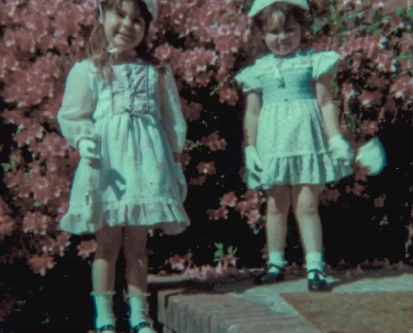 The Azalea Bushes That Grew Into a Story