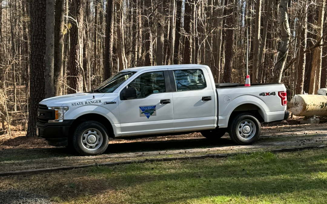 The Drive Home: A Lesson in Creative Patience