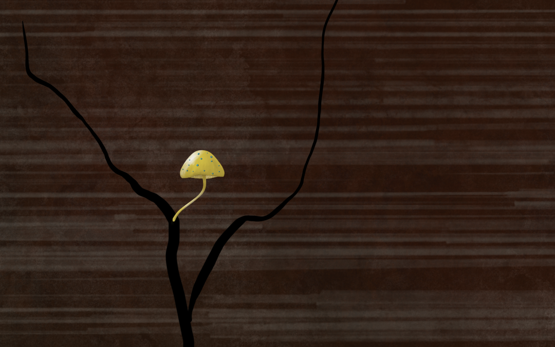 Slow, Deliberate Change