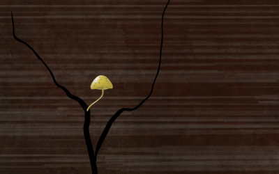 Slow, Deliberate Change
